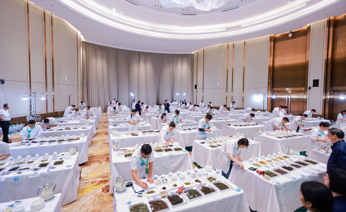 HiBaoting's tweet image. 🌱🍃Do you know how to mix #tea leaves?
🧐🧐This is a demanding #technique that requires tea tasters to mix different tea leaves according to their shape, color, aroma, and taste into the optimal combination.
🍵🥰Recently, 52 professional tea tasters from all over #China competed…