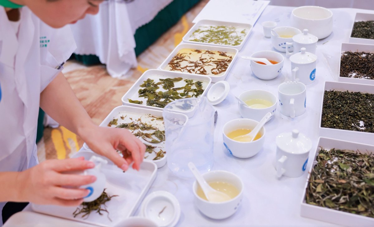HiBaoting's tweet image. 🌱🍃Do you know how to mix #tea leaves?
🧐🧐This is a demanding #technique that requires tea tasters to mix different tea leaves according to their shape, color, aroma, and taste into the optimal combination.
🍵🥰Recently, 52 professional tea tasters from all over #China competed…