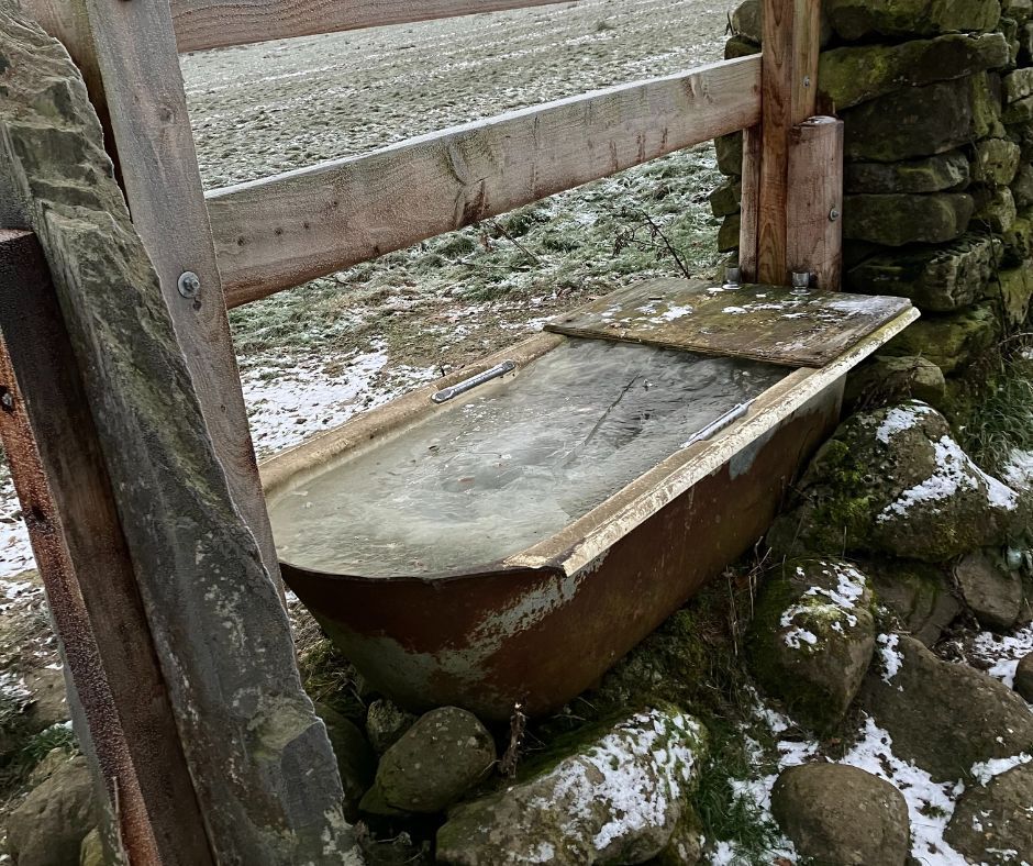 Layheadfarm's tweet photo. ❄️ "Frost-covered stone walls, frozen streams, and the sound of your boots crunching through the snow. A Christmas walk in the Yorkshire Dales is pure holiday joy. 🥾⛄ #Settle #YorkshireDales" https://t.co/1kmSAhVymB