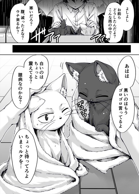 拾った猫がギャルだった話 (1/2) 