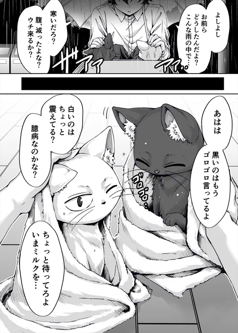 拾った猫がギャルだった話 (1/2) 