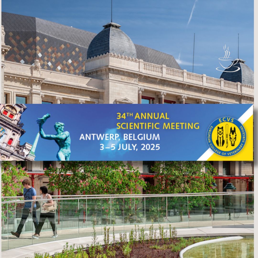 Join the @ECVS Annual Scientific Meeting in Antwerp, Belgium!
This essential event for veterinary surgical specialists offers latest advancements, networking, cutting-edge technology and much more,

📅 3-5 July 2025 | 📍 Antwerp, Belgium
🖱️ Learn more: buff.ly/4ifsW3f
