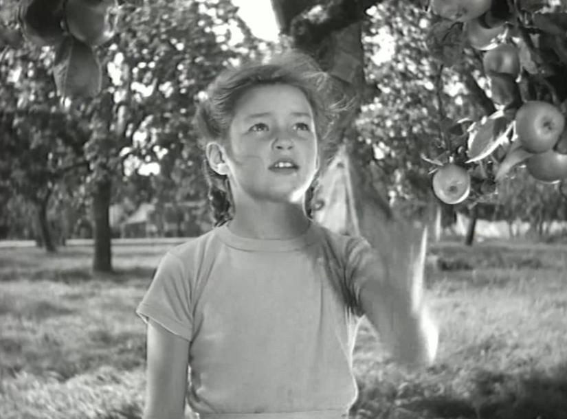 TalkingPicsTV's tweet photo. Our CFF feature stars ⭐ #MandyMiller #MelvynHayes #HildaFenemore #DandyNichols

📽️ ADVENTURE IN THE HOPFIELDS (1954) 10am family drama #TPTVsubtitles https://t.co/ocMjJa1OOQ