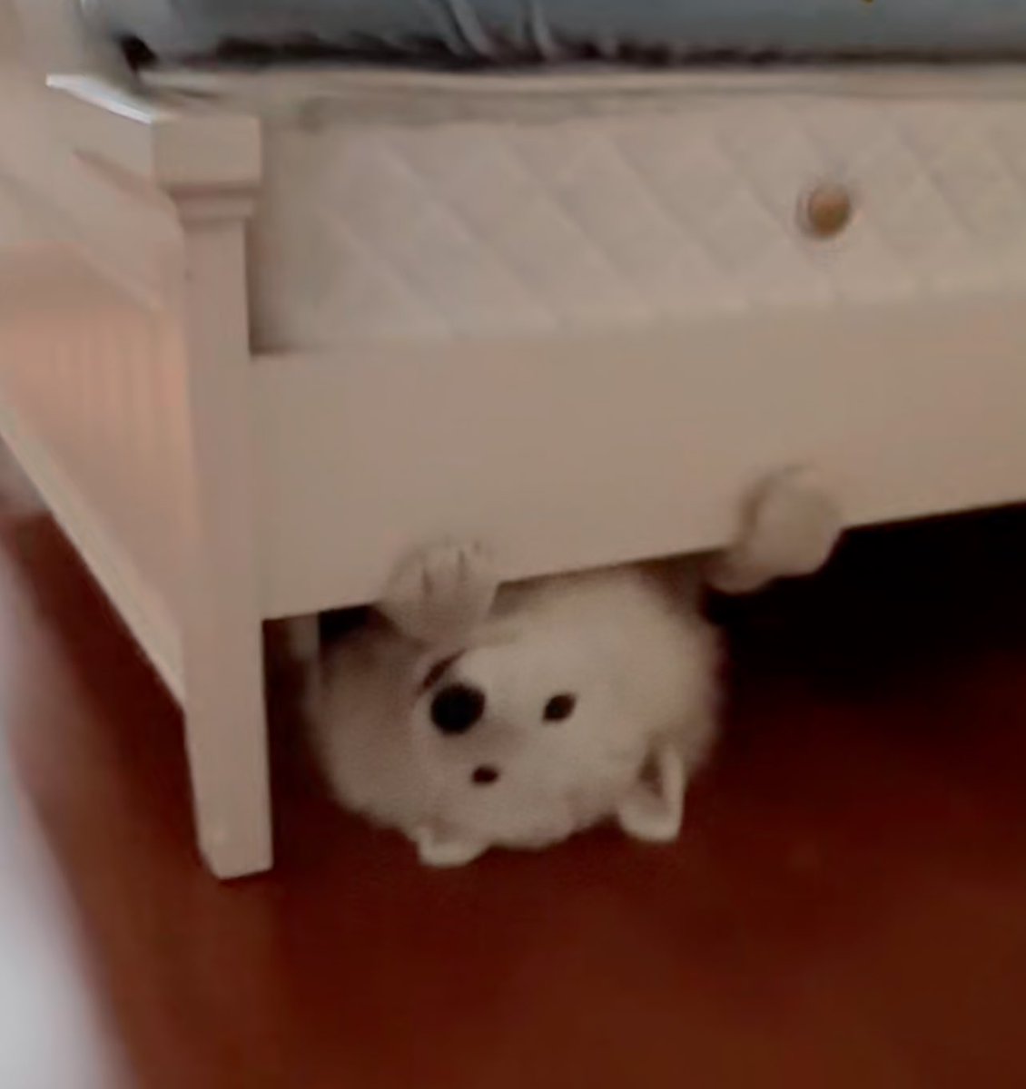 พี่เห้นผม ไหม