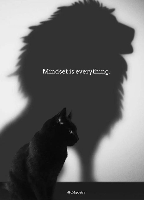 mindfulmaven_'s tweet photo. https://t.co/iwngda7Ux2