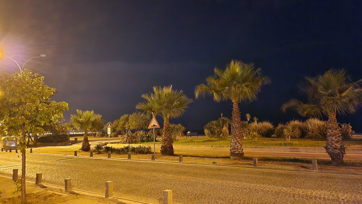 nonymoushack's tweet photo. Endless fun journey
#Beach #Palm #NightSummer