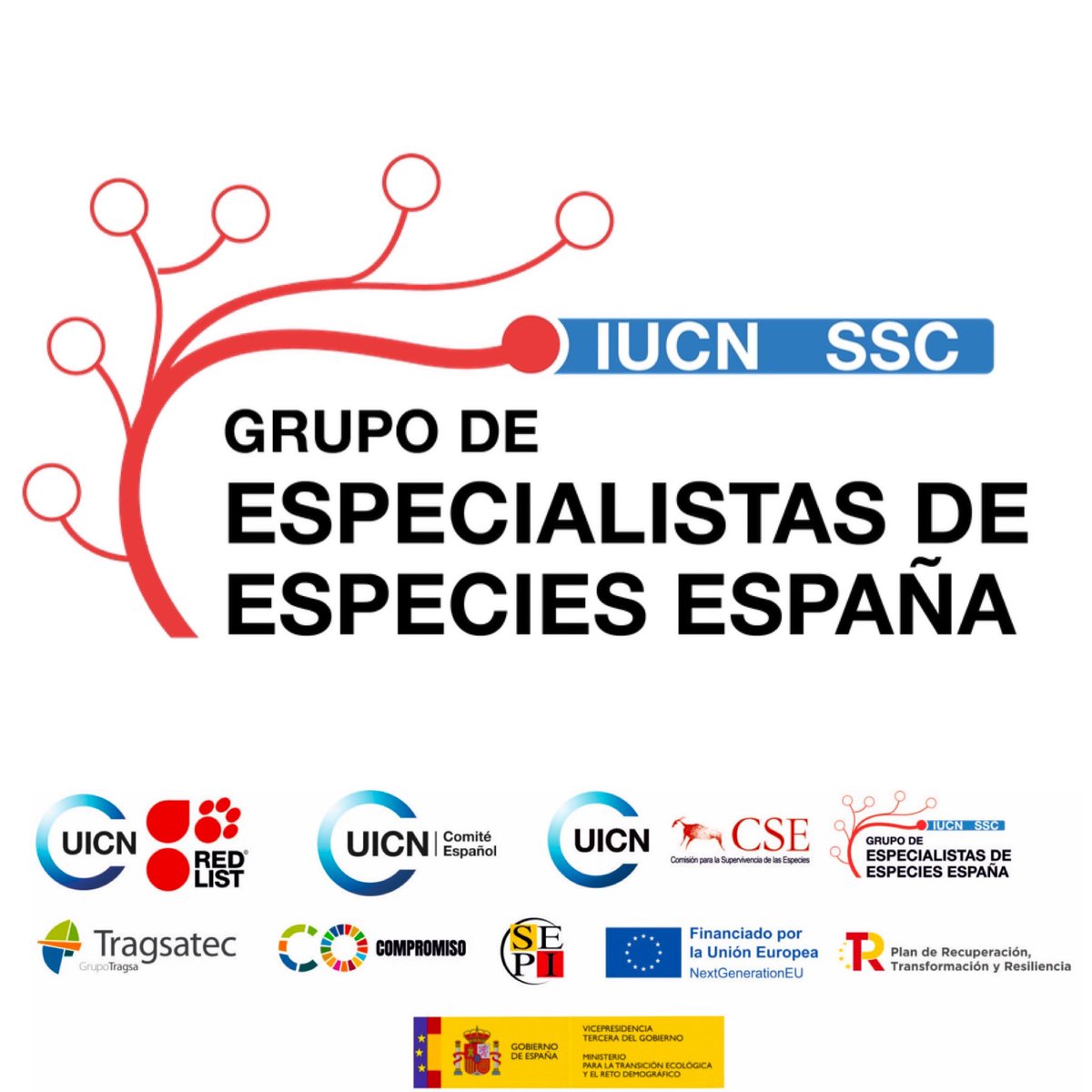Esta semana participamos, junto a representantes de otras sociedades de expertos de grupos taxonómicos, vinculados al GNEE CSE UICN, en el ‘Taller Técnico de Lista Roja’ para ahondar en la comprensión y aplicación de categorías y criterios.
Hacia la Lista Roja #UICN Nacional #LRN