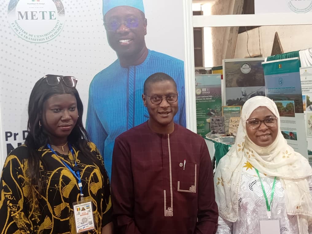 Dr Modou fall GUEYE tweet media