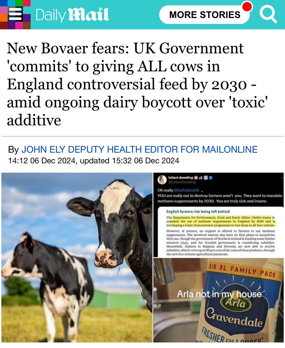 Lewis Brackpool tweet media