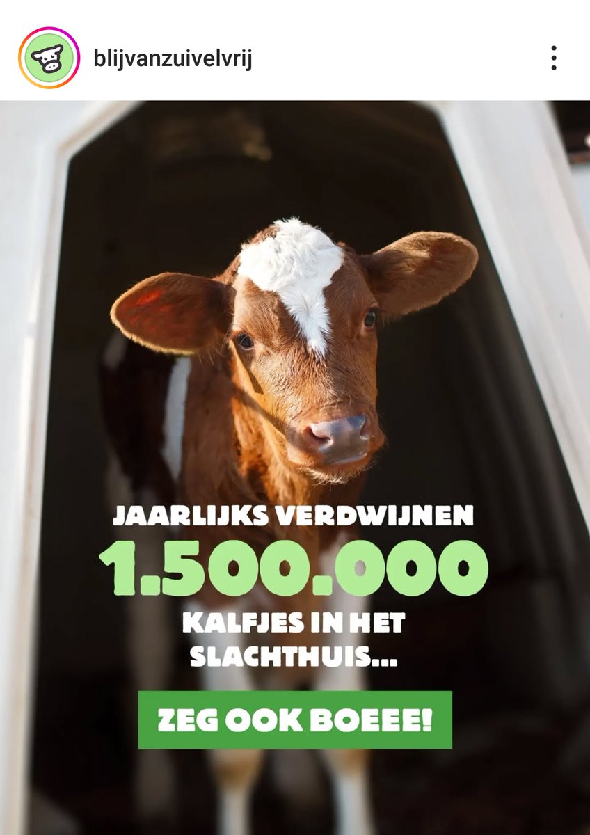 VeganStreaker85's tweet photo. @kalfjesinbeeld heeft juist voor de december maand gekozen om dit langste protest ooit,voor de dieren in de vee-industrie te organiseren Wij zijn solidair met de kalfjes die lijden in iglo's.
Wij sluiten ons aan bij de campagnes #sloopmelk ( @WakkerDier ) &amp;  #BlijVanZuivelvrij https://t.co/5BvXCSjOno