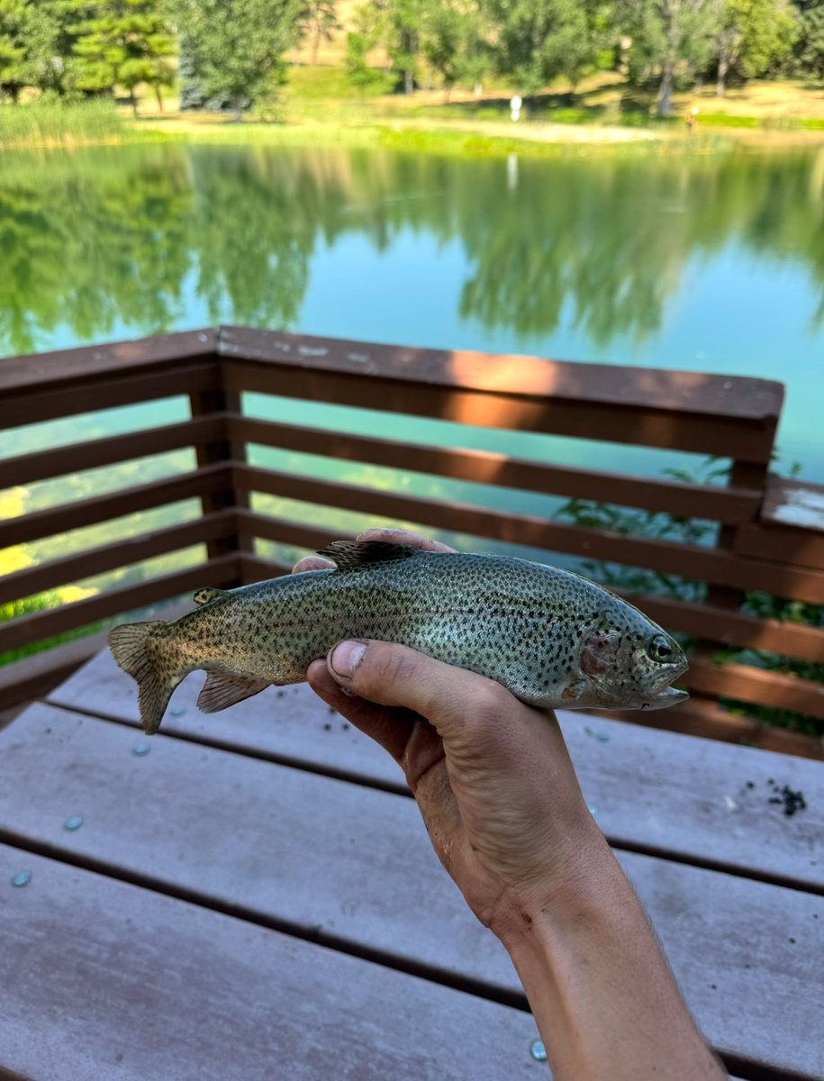 beanerbastard's tweet photo. “Spotify wrapped , selfie wrapped” fuck that fish wrapped https://t.co/6hZI7KcNj4