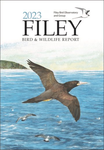 FileyBirdObs's tweet image. NEW 2023 FILEY BIRD &amp;amp; WILDLIFE REPORT
Front cover artwork by Ben Green. On sale now
£15 plus £3 P&amp;amp;P
Contact Report Sales - Janet Robinson Email: janetrobinson@yorkshire.net Also available from Wrays, Belle Vue St, Filey and Filey Post Office.