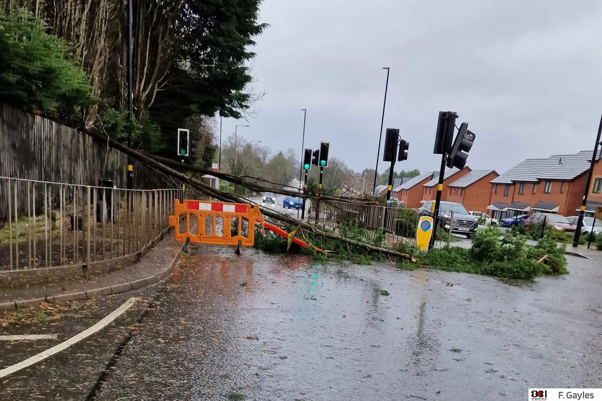 B31Voices's tweet photo. ⚡️🌧 #SWBrumStormWatch 🌧⚡️
#StormDarragh
1340hrs Fallen tree partially blocking junction of Redditch Road / Tunnel Road (Aldi) #KingsNorton
#SWBrumTRAVEL #Birmingham
#BirminghamUK
#B31Voices #BVoices https://t.co/rasHZQRD9K