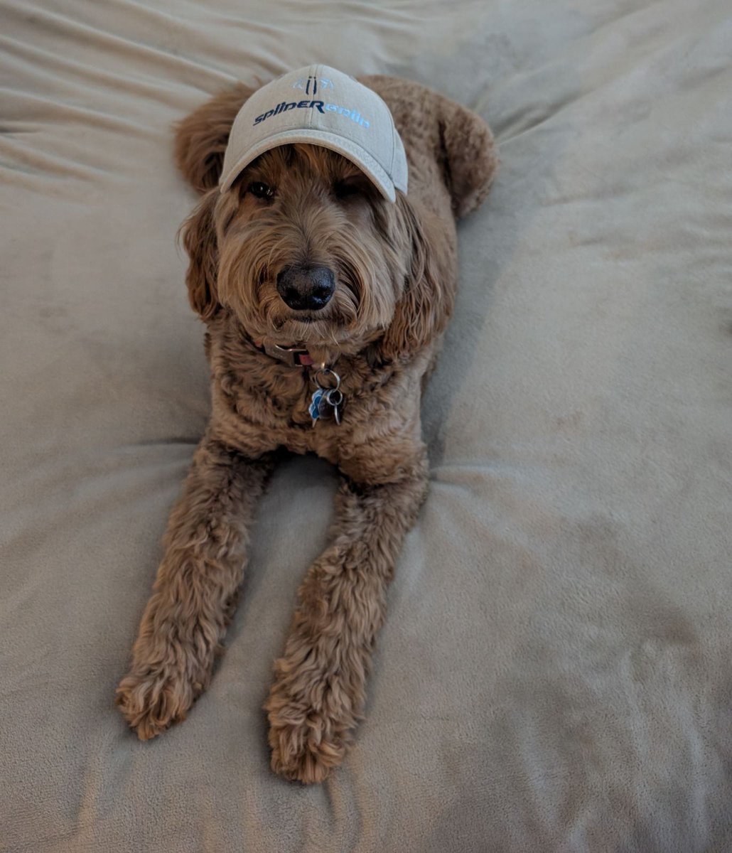 David Britt tweet media