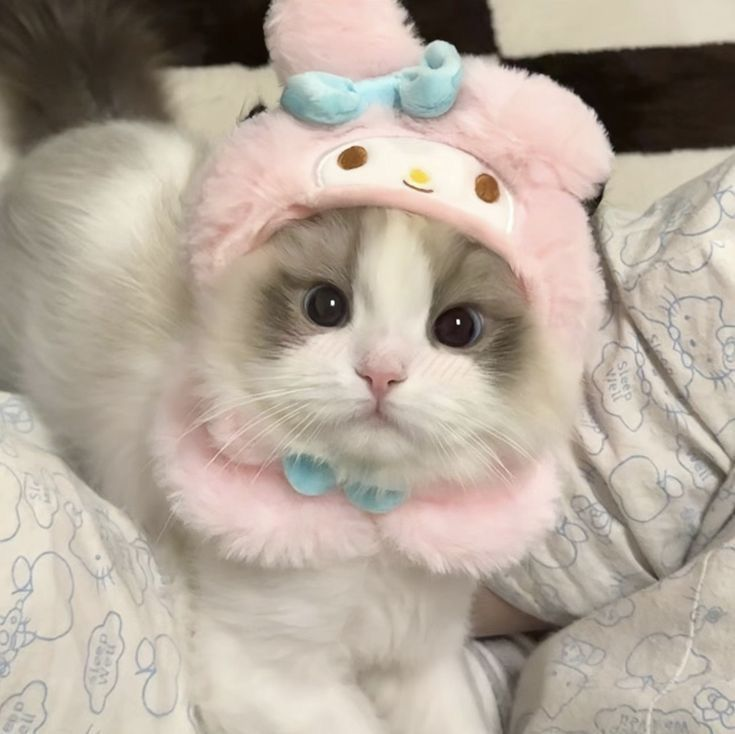 diariodoluca_'s tweet photo. ⠀ೃ❀࿔  Motivos pra VOCÊ 🫵 entrar no #CATSMP, um servidor multiplayer do minecraft com GATINHOS!!  ₊   ˙

❤ + 🔁são apreciados!
[ #MinecraftServer #Minecraft #Cats #MinecraftSmp ] https://t.co/hBpqr7kNWR
