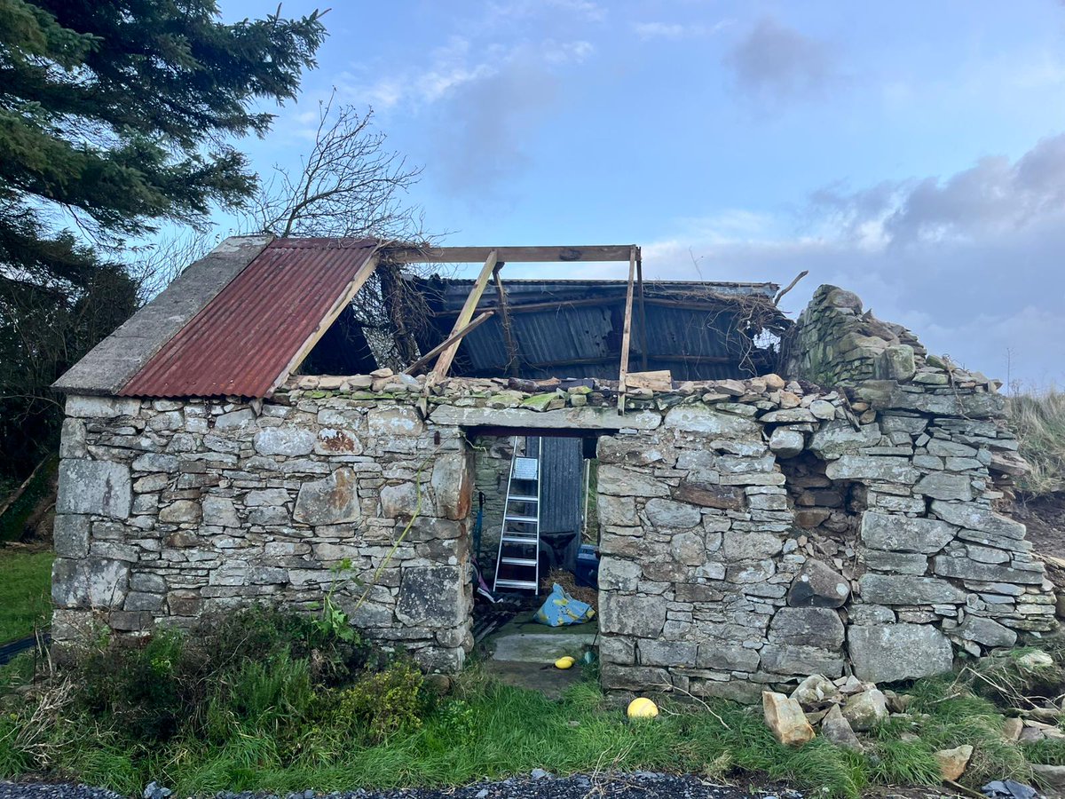 TeeGrowingWild's tweet photo. Storm Darragh removed the roof of my outbuilding last night, which means that my outside loo is a bit more outside than I'd like! At least I'm not suffering a loss of power like other Mayo residents; being off-grid has many advantages. #StormDarragh #Mayo #Ireland #OffGrid https://t.co/czEd0BejI1