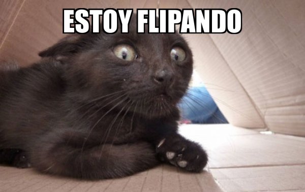 noahpau's tweet photo. @anarcopoetico @LolaJimenezzuma @SXTrece https://t.co/wTdNH74cdI