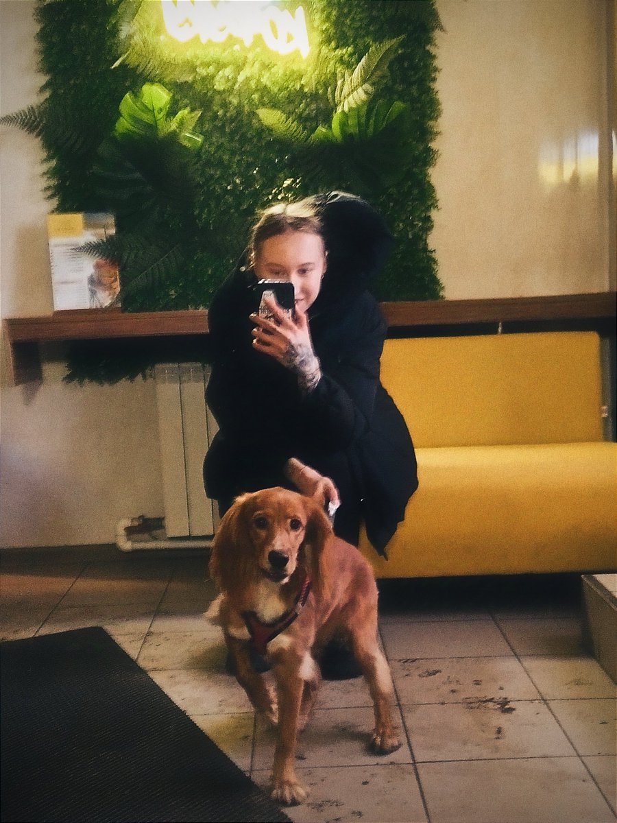 Украла собаку🥰
(курьер проспал и не успевал с ней погулять поэтому привёз её гулять с нами)