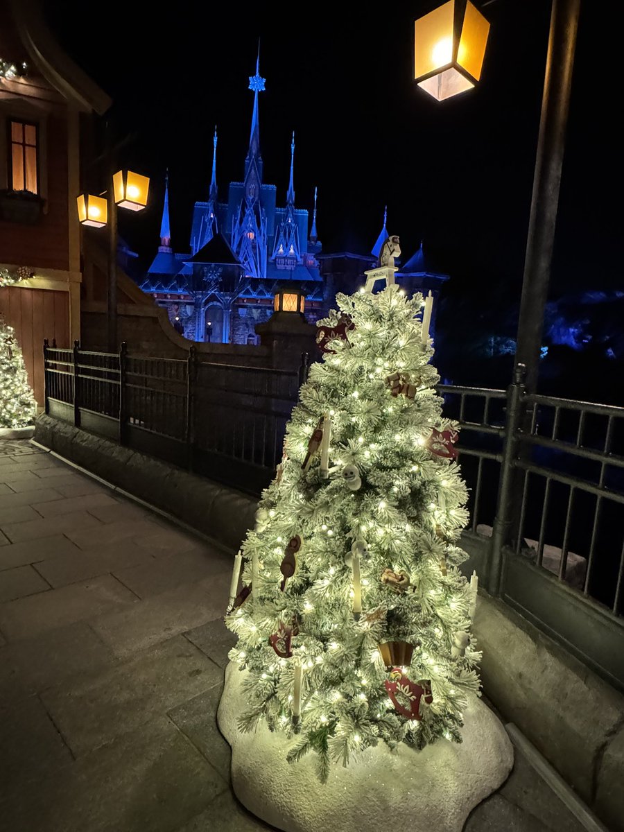 tonnmay's tweet photo. 香港のクリスマスのパーク本当に歩いてるだけで可愛い🎄❤️ https://t.co/VBCfNddVvd