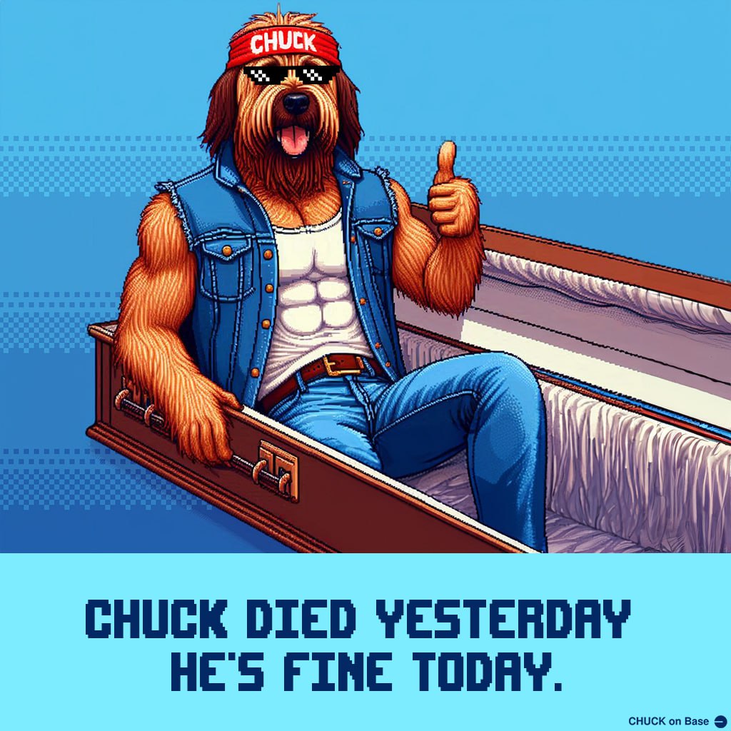 K4Z1uuu's tweet photo. @CHUCK_on_Base #MightbeChuck
$Chuck is the sleeping king. Wait and see. https://t.co/mm6tfEuN4V