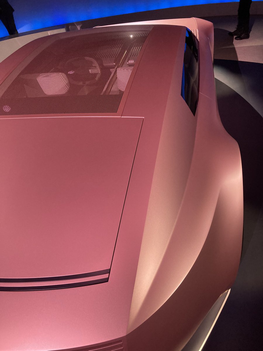 #Caturday <a href="/Jaguar/">Jaguar</a>