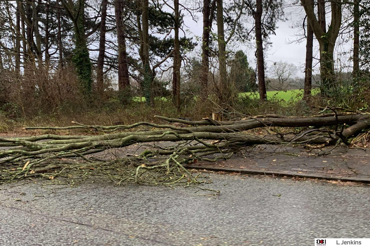 B31Voices's tweet photo. ⚡️🌧 #SWBrumStormWatch 🌧⚡️
#StormDarragh
Lowhill Lane #Longbridge partially blocked by fallen tree between Lickey Road & Grovelley Lane
#SWBrumTRAVEL #Birmingham
#BirminghamUK
#B31Voices #BVoices https://t.co/hietRnOY9x