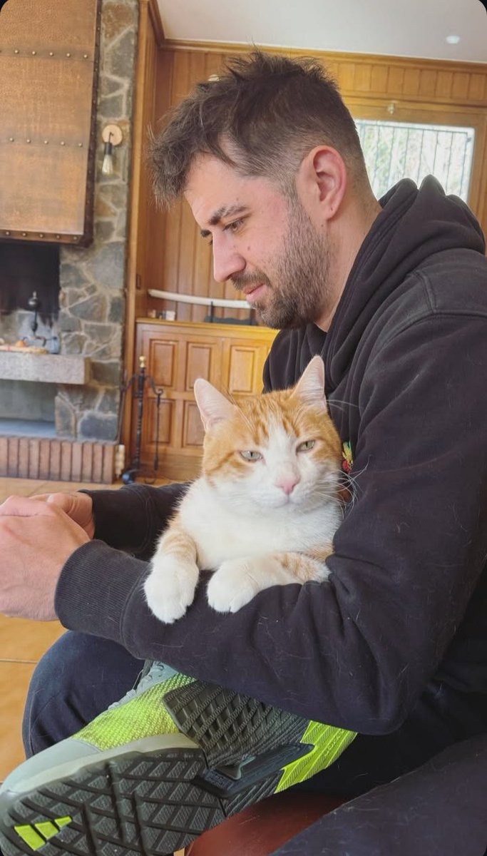 lvsauron's tweet photo. el gato esta muy grandote  o auron es muy petit abro debate https://t.co/Pe5JhwJATg