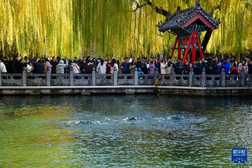 DailyBeijing's tweet image. Since the winter began, the famous #springs in various parts of Jinan City, #Shandong Province, #China, have been spurting vigorously. #chinatravel