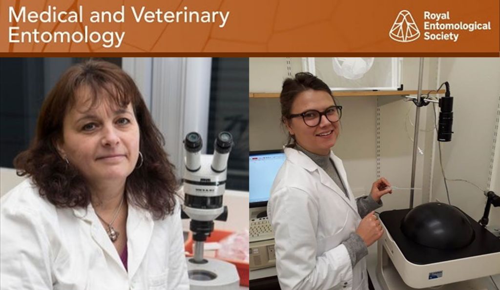 Wed 11 Dec | Royal Entomological Society: Online Talk – Medical and Veterinary Entomology. buff.ly/49m3PrA