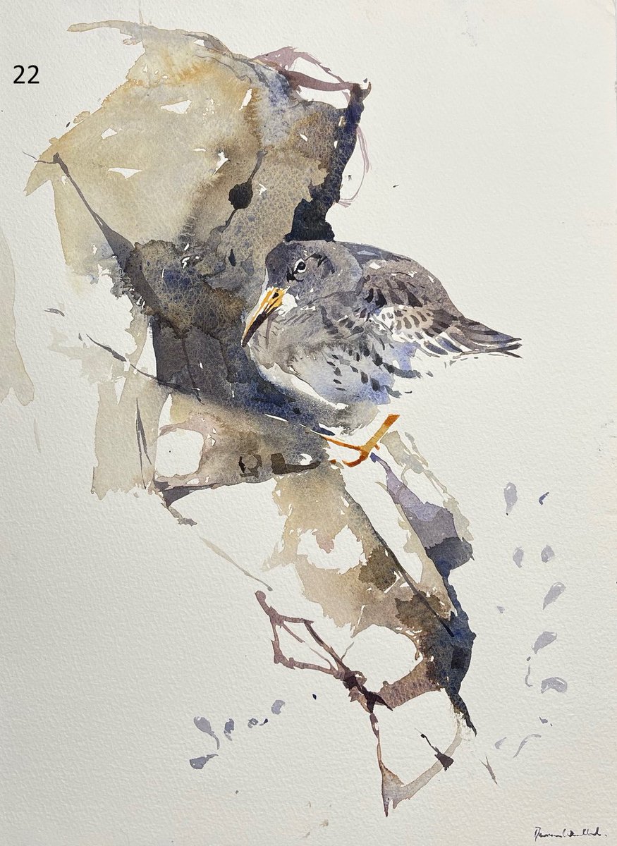 Darren Woodhead MA (RCA) SWLA tweet media