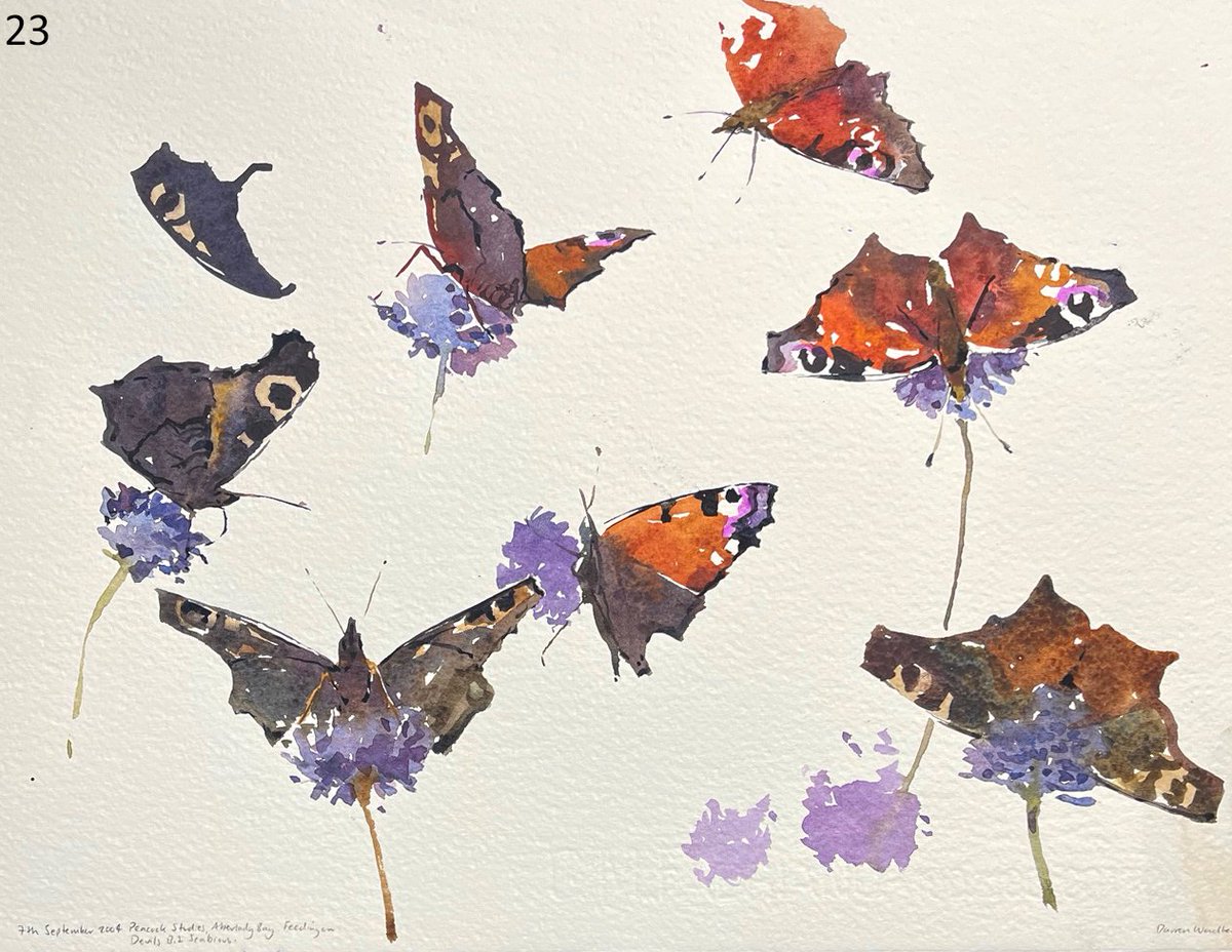 Darren Woodhead MA (RCA) SWLA tweet media