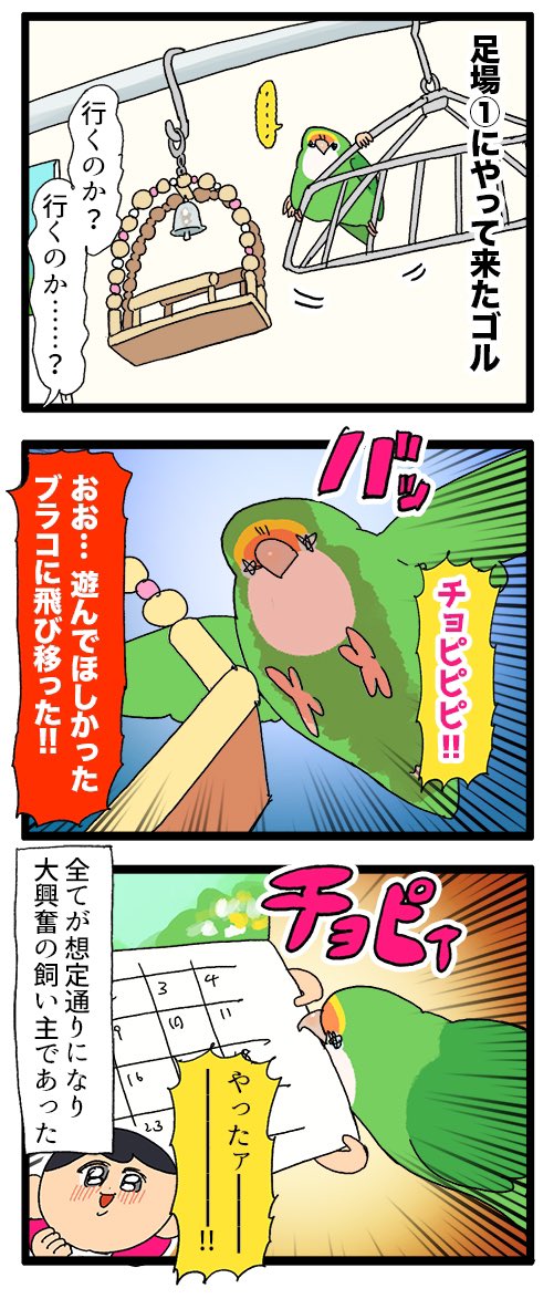 ゴルちゃん、飼い主の想定した遊び方で遊んでくれて嬉しいの日記🦜✌️

1989 #えるポピの絵日記かくところ 