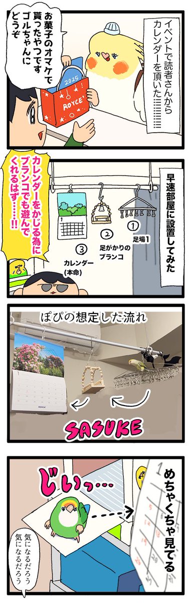 ゴルちゃん、飼い主の想定した遊び方で遊んでくれて嬉しいの日記🦜✌️

1989 #えるポピの絵日記かくところ 