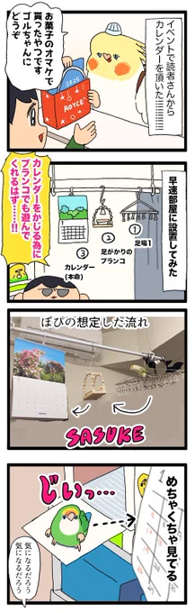 ゴルちゃん、飼い主の想定した遊び方で遊んでくれて嬉しいの日記🦜✌️

1989 #えるポピの絵日記かくところ 