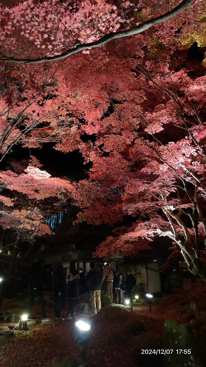 lapisazur's tweet photo. 11時車預けて17時引き取り。セレナに乗り換えて教林坊🍁夜間拝観。塩元帥いっぱいで、ちゃんぽん亭でディナー🍽️
間違えて一杯多く頼む^^;
が、全部食べられた。凄い。
セット2.唐揚げ、ラーメン2杯
ぬぬぬぬぬ https://t.co/IVn0FGzqJs