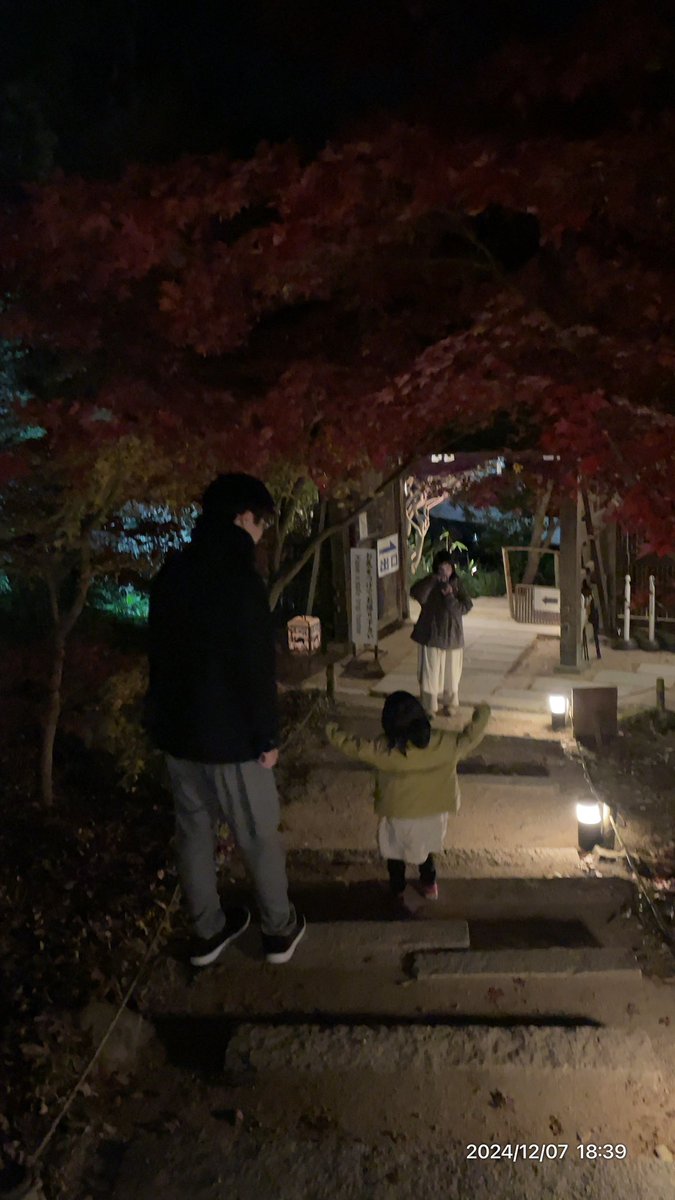 lapisazur's tweet photo. 11時車預けて17時引き取り。セレナに乗り換えて教林坊🍁夜間拝観。塩元帥いっぱいで、ちゃんぽん亭でディナー🍽️
間違えて一杯多く頼む^^;
が、全部食べられた。凄い。
セット2.唐揚げ、ラーメン2杯
ぬぬぬぬぬ https://t.co/IVn0FGzqJs