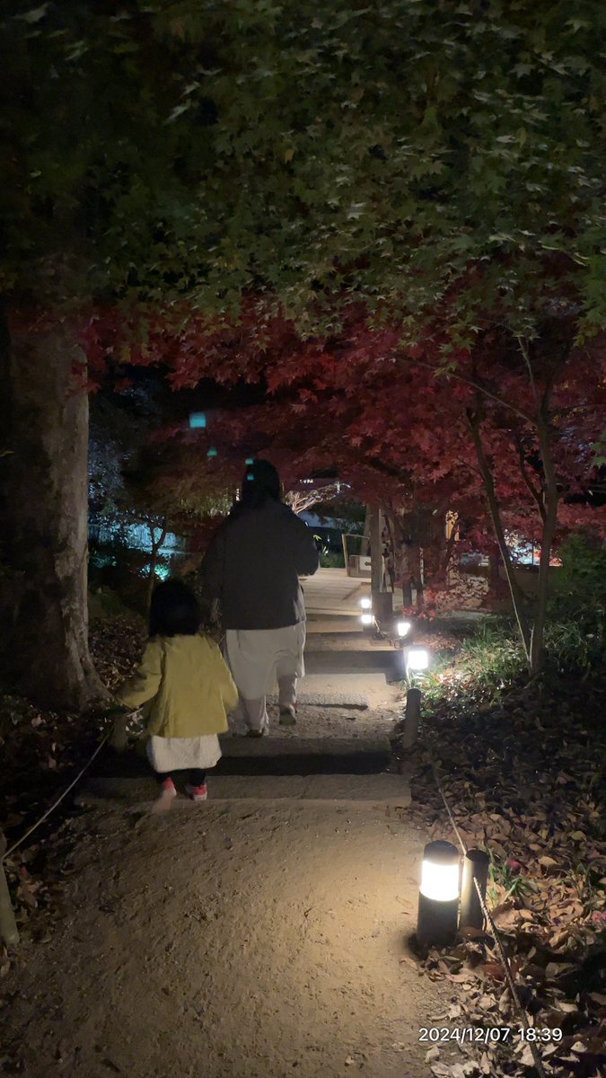 lapisazur's tweet photo. 11時車預けて17時引き取り。セレナに乗り換えて教林坊🍁夜間拝観。塩元帥いっぱいで、ちゃんぽん亭でディナー🍽️
間違えて一杯多く頼む^^;
が、全部食べられた。凄い。
セット2.唐揚げ、ラーメン2杯
ぬぬぬぬぬ https://t.co/IVn0FGzqJs