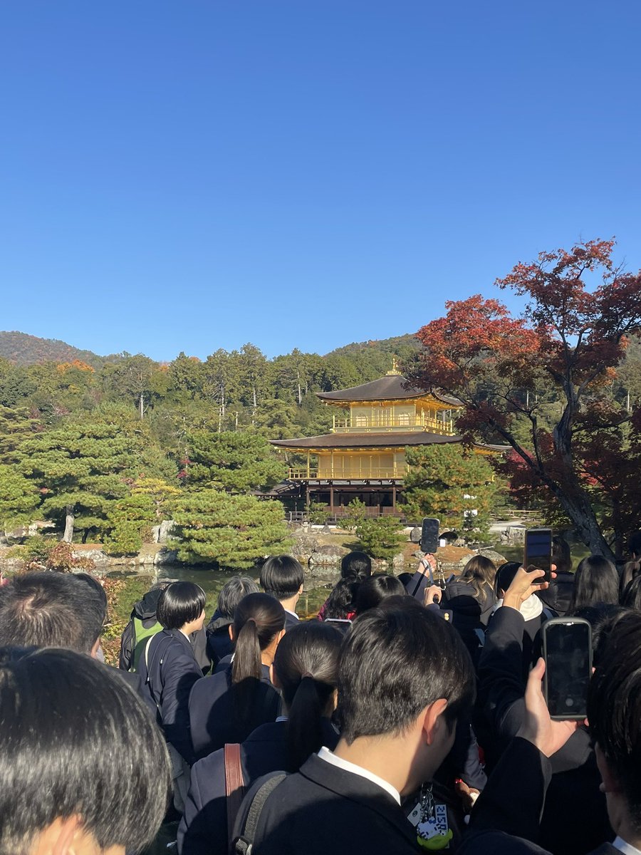 toraki_rose's tweet photo. 修学旅行楽しかったなあ https://t.co/MhYqfnCw8u