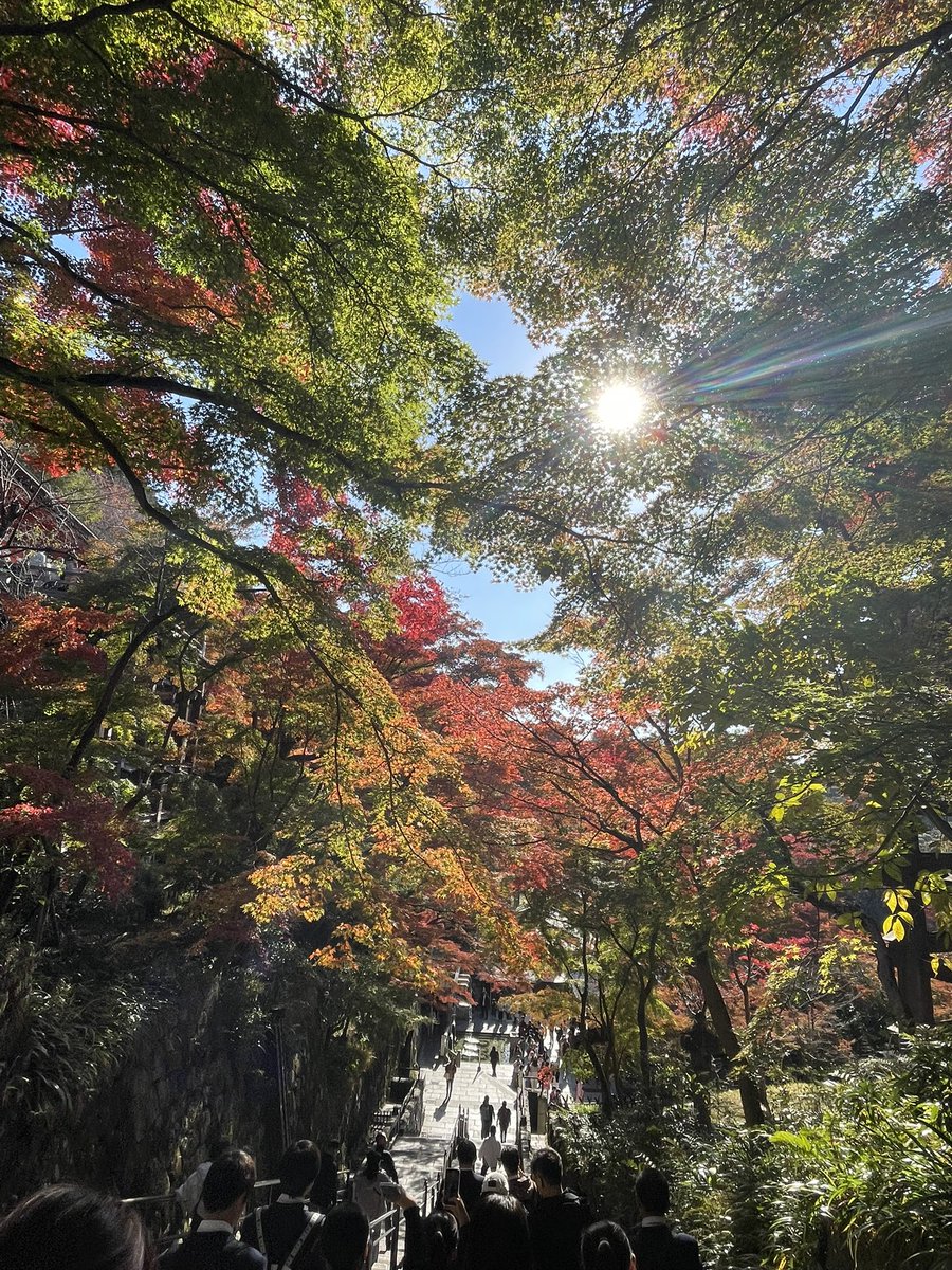 toraki_rose's tweet photo. 修学旅行2！ https://t.co/V510EAmqHZ