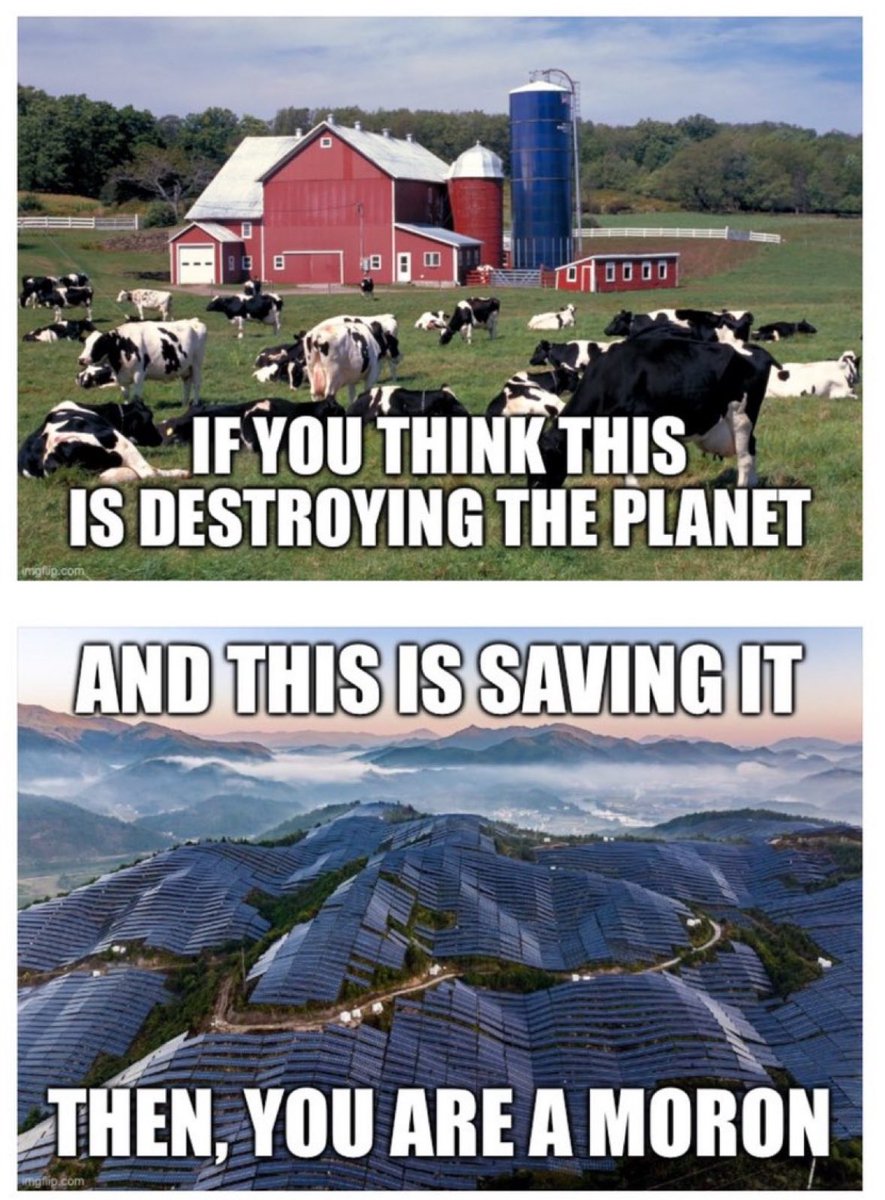 Chris Martz tweet media