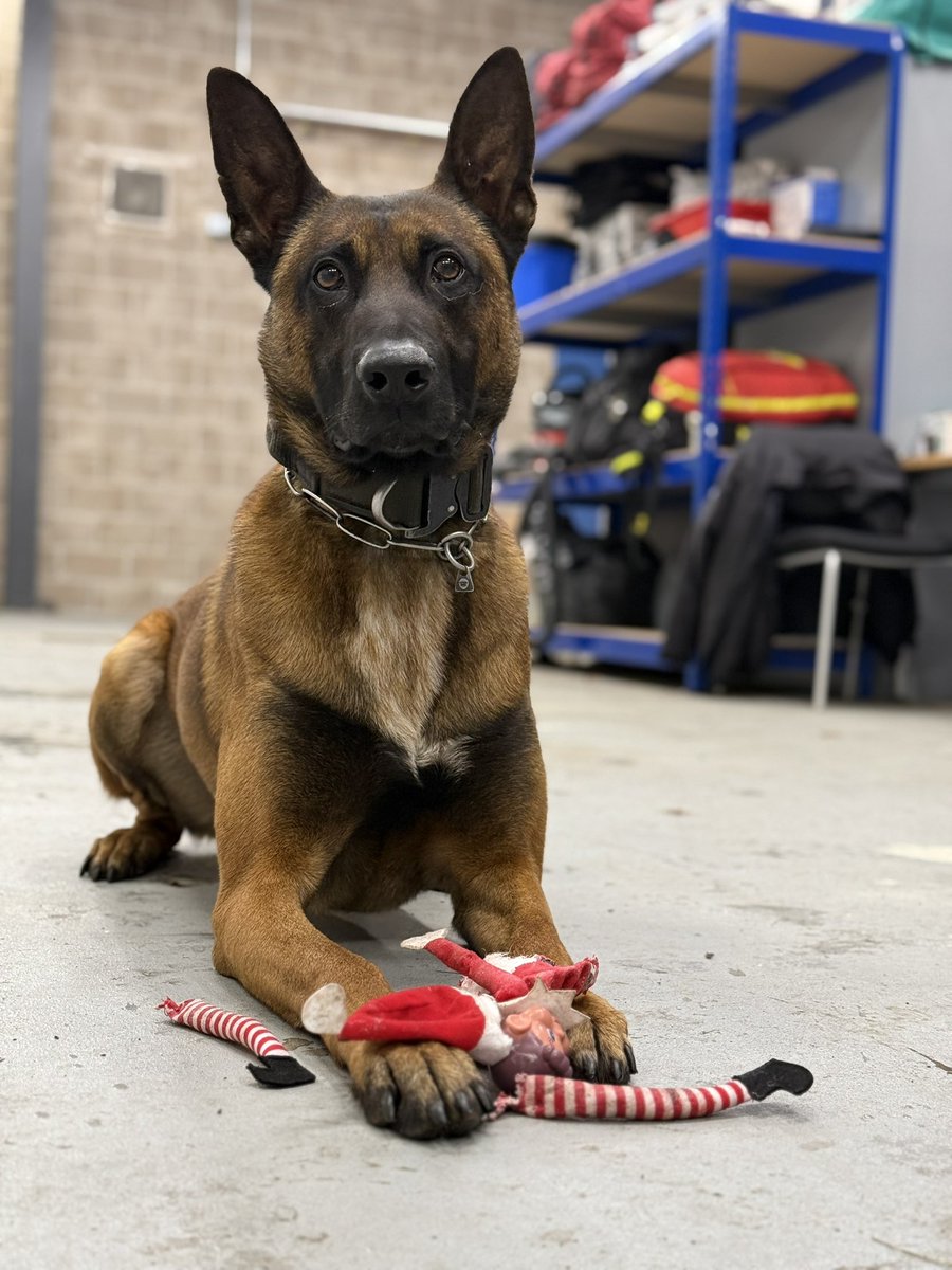 What a difference 2 years makes 🤣