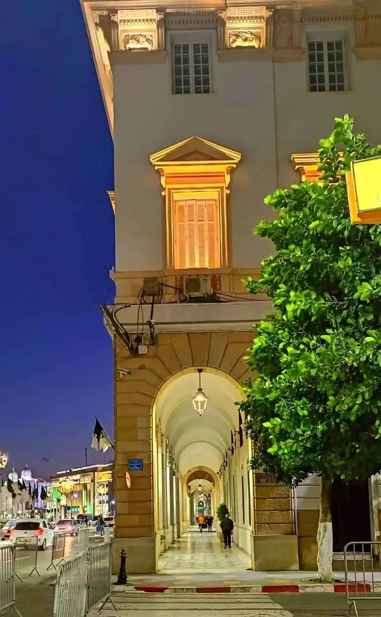 Algiers by night, Algeria 🇩🇿💚