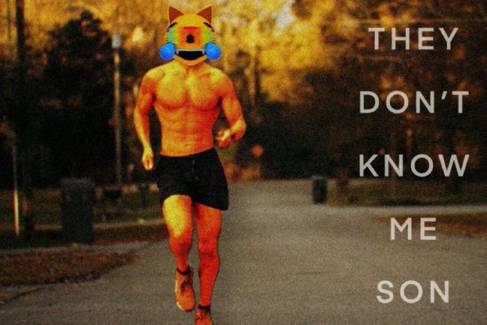 mog is a multi cycle coin