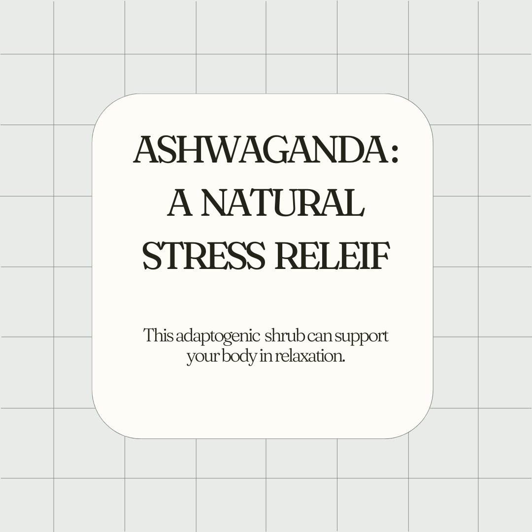 RAWForestFoods's tweet image. Phytochemicals in adaptogenic herbs like Ashwagandha may support stress adaptation by interacting with neuroendocrine pathways. 

#Adaptogens #Ashwagandha #StressSupport #RAWForestFoods #HolisticWellness