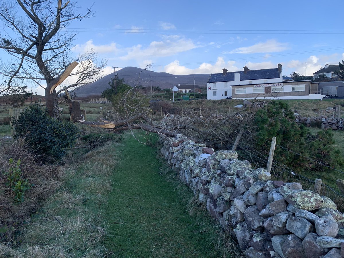 The cosán is currently closed due to a fallen tree. Please use an alternative route if you can #StormDarragh #TheCompass #Currane #CraicAgusOl