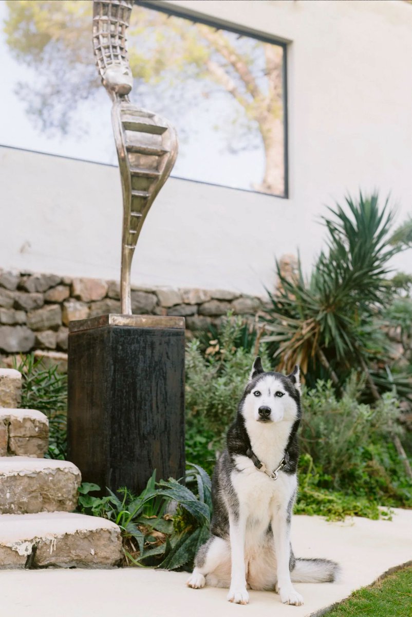 Villa Selva isn’t just a home—it’s an escape. Gaudí vibes meet nature’s raw beauty. Step in, and you’ll never want to leave. 🌿🌊 #Design #Architecture

buff.ly/3ZFC0HC