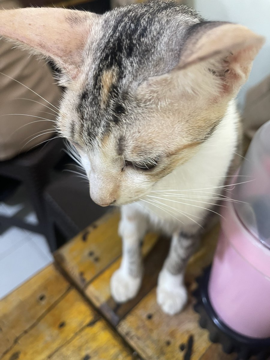 extgeme's tweet image. 🤨🤨