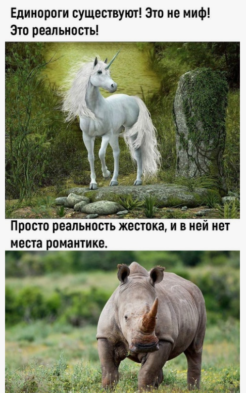 Rozenn Butrimovich tweet media