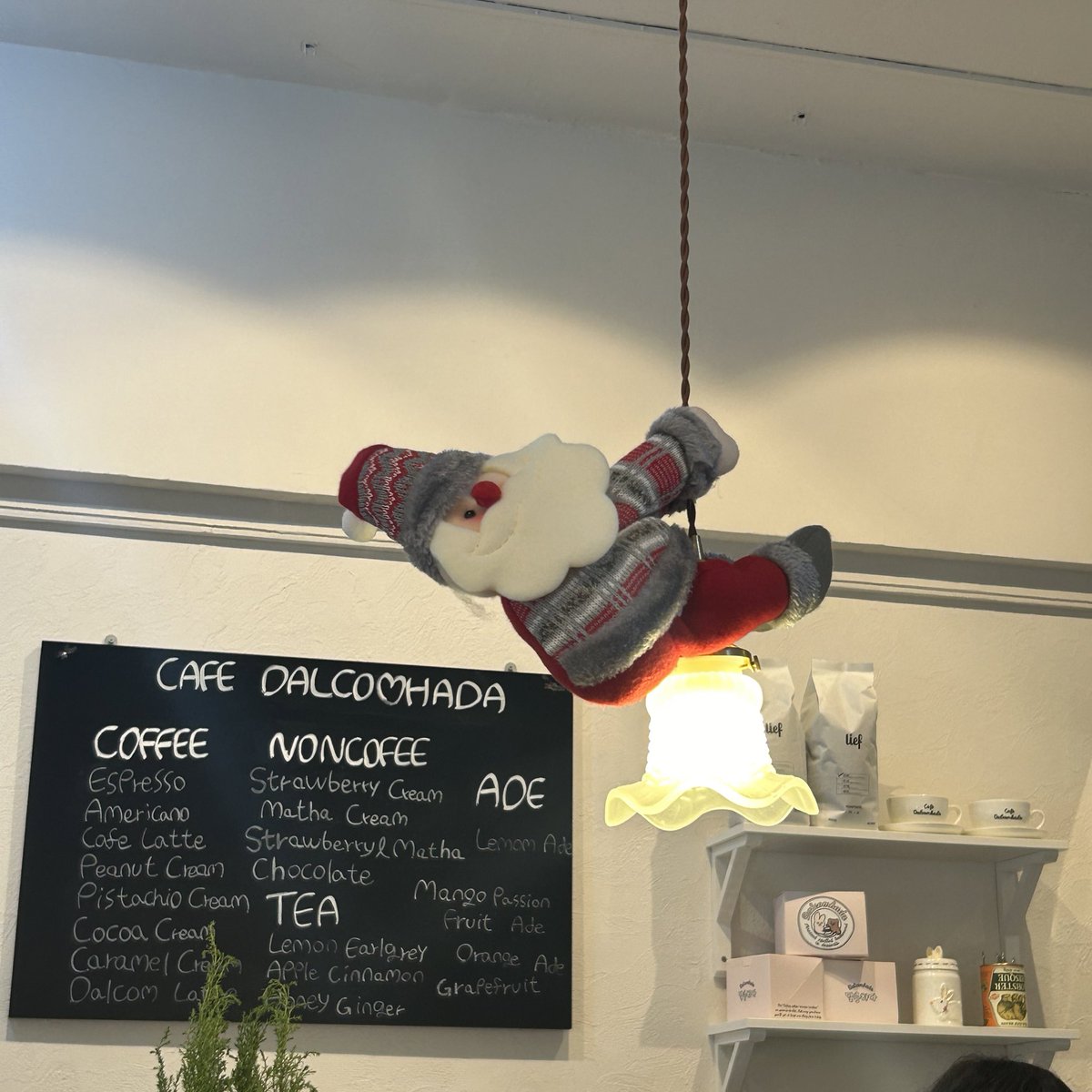 hoooootate_'s tweet image. 