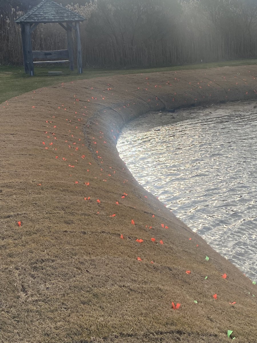 Great project, fun working with your team as well as Tour Greens LI.
If you want to learn more about what Sox can do for you give your local Ewing outdoor supply rep a call
<a href="/ligcsa/">LIGCSA</a> <a href="/EwingOutdoor/">Ewing Outdoor Supply</a>